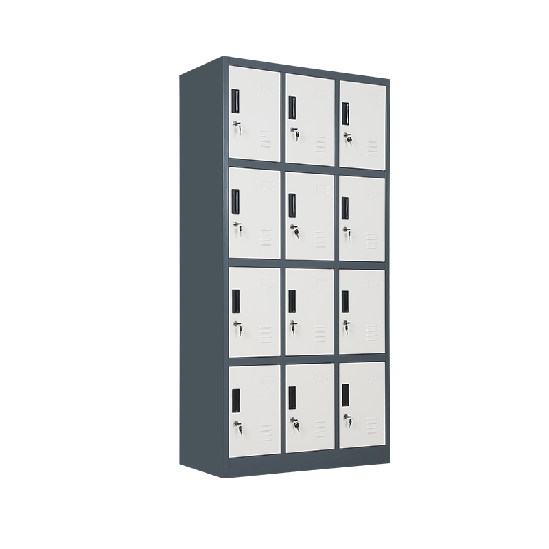HS-G12 12-Door Steel Locker