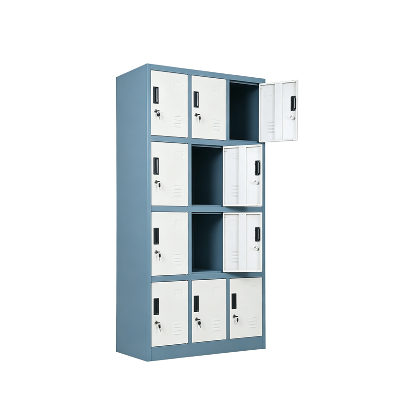HS-G12 12-Door Steel Locker