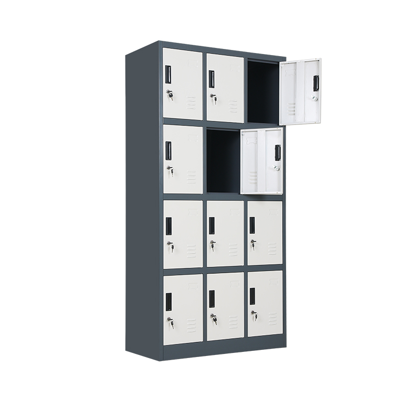HS-G12 12-Door Steel Locker