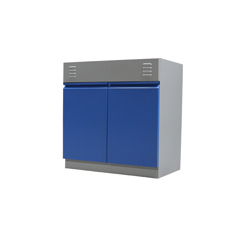 Steel Laboratory Wall Cabinet